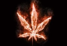 Cannabis extraction safety: don’t blow people up Cannabis extraction safety: don’t blow people up