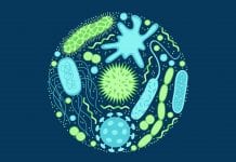 Little progress made in the EU fight against antimicrobial resistance