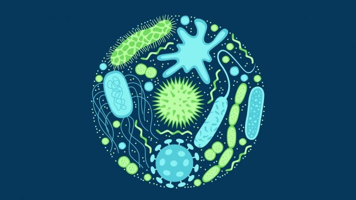 Little progress made in the EU fight against antimicrobial resistance