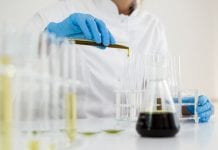 Calls for government to accelerate research following cannabis oil approval Calls for government to accelerate research following cannabis oil approval