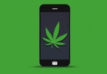 Budworkz: a new employment app for cannabis industry jobs