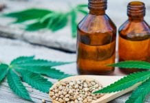 Recognition of CBD as Novel Food could have industry ramifications Recognition of CBD as Novel Food could have industry ramifications