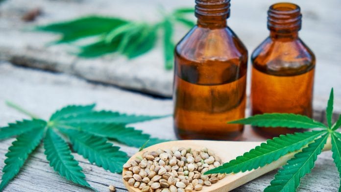Recognition of CBD as Novel Food could have industry ramifications