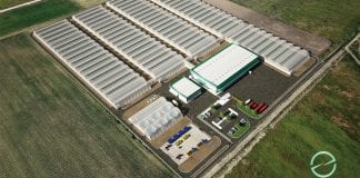 Essenza’s medical cannabis facility to become leader in setting highest standards