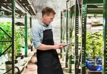 Introducing Budworkz: the cannabis recruitment app Introducing Budworkz: the cannabis recruitment app