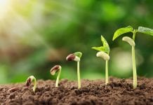 EnCann Solutions – bridging the gap from seed to sale
