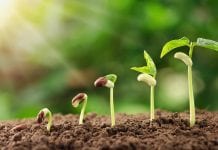 EnCann Solutions – bridging the gap from seed to sale EnCann Solutions – bridging the gap from seed to sale