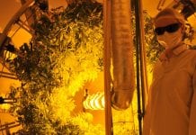 Agro Grow Technology: a hydroponic revolution with the Rotary Garden Agro Grow Technology: a hydroponic revolution with the Rotary Garden