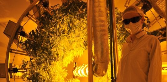 Agro Grow Technology: a hydroponic revolution with the Rotary Garden