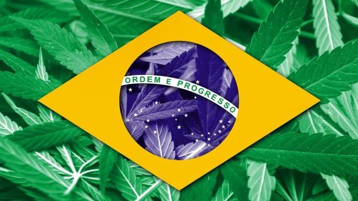 New guidelines approved for medical cannabis in Brazil