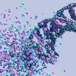 Mother Nature provides new gene therapy strategy to reverse disease