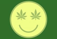 Cannabis for headaches: it may not be THC or CBD that reduces the pain Cannabis for headaches: it may not be THC or CBD that reduces the pain