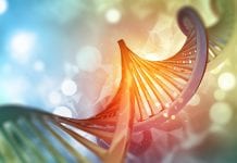 New tool reveals DNA structures that influence disease