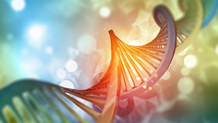 New tool reveals DNA structures that influence disease