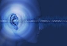 Can darkness rewire our brains to improve hearing?
