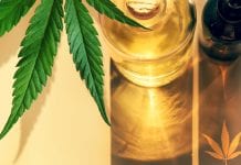 Bedrocan: pharmaceutical excellence from the Netherlands Bedrocan: pharmaceutical excellence from the Netherlands