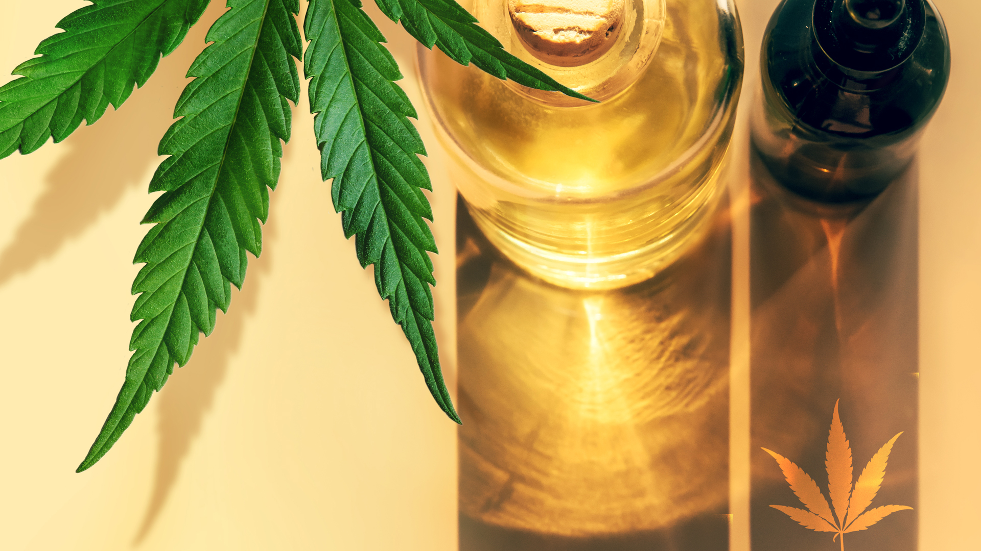 Bedrocan: pharmaceutical excellence from the Netherlands