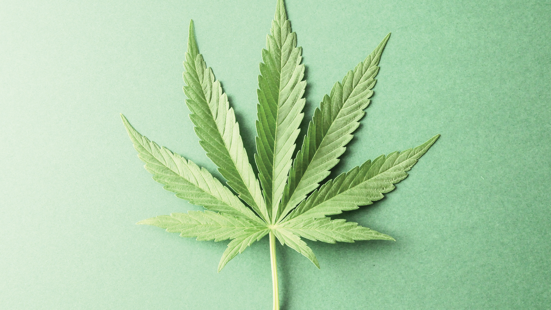 Mile High Labs: CBD by the numbers