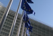 Insights on the European medical cannabis: an MEP’s perspective Insights on the European cannabis market: an MEP’s perspective