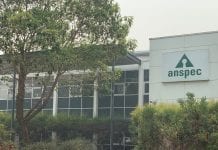 Anspec: leading the way in Australia’s medicinal cannabis landscape