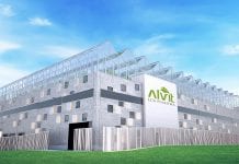 Alvit: Europe’s search for cannabis flowers comes to an end
