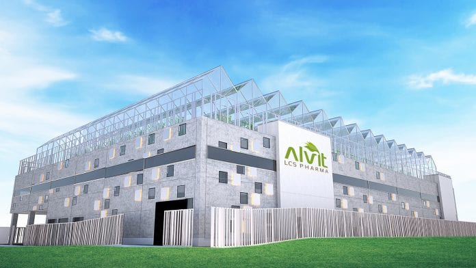 Alvit: Europe’s search for cannabis flowers comes to an end