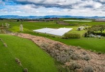 Eqalis: turning horticultural knowledge into a billion dollar venture Eqalis: turning horticultural knowledge into a billion dollar venture