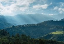 CannaVerde: delivering the full therapeutic potential of cannabinoids CannaVerde: delivering the full therapeutic potential of cannabinoids