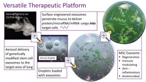 COPD platform