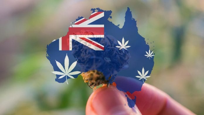 MedCann World Forum: exploring the Australian cannabis market
