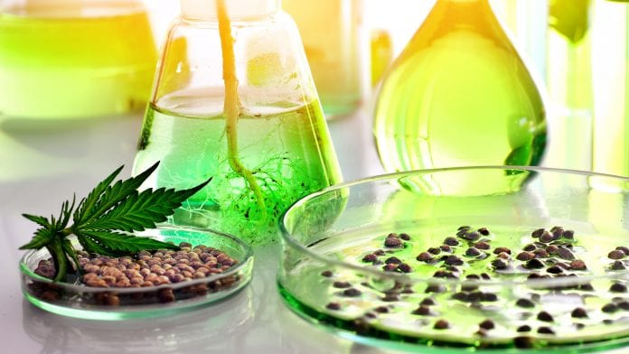 Seed to Science: importing and exporting CBD