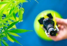 Director of NICE to keynote UK medical cannabis conference Director of NICE to keynote UK medical cannabis conference