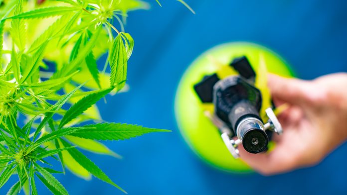 © iStock/ CasarsaGuru Director of NICE to keynote UK medical cannabis conference