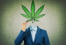 Handpicked Jobs: talent for the cannabis industry