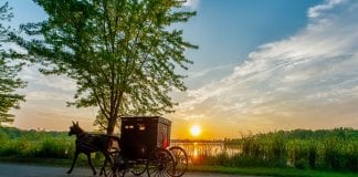 Amish buggy with sunset