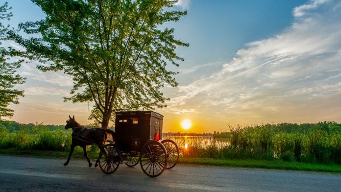 Amish buggy with sunset