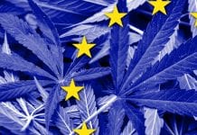 Medical cannabis policy: knowledge sharing in the EU