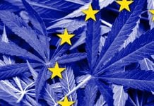 Medical cannabis policy: knowledge sharing in the EU Medical cannabis policy: knowledge sharing in the EU