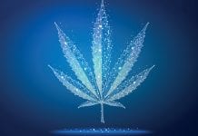 NHS medtech provider teams with cannabis group to ease patient access