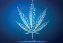 NHS medtech provider teams with cannabis group to ease patient access NHS medtech provider teams with cannabis group to ease patient access