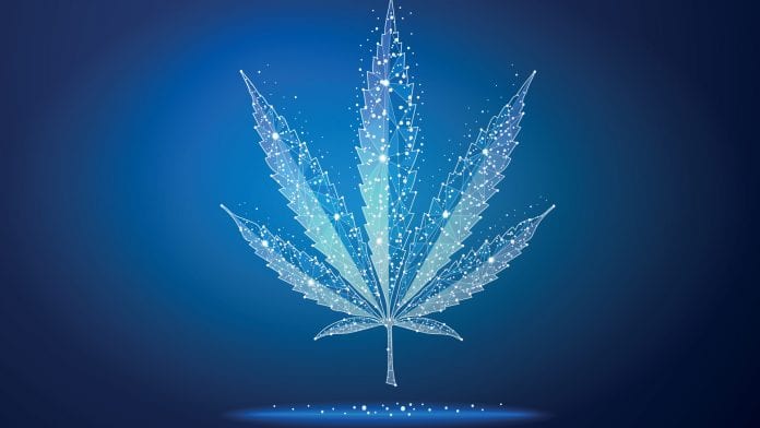 NHS medtech provider teams with cannabis group to ease patient access