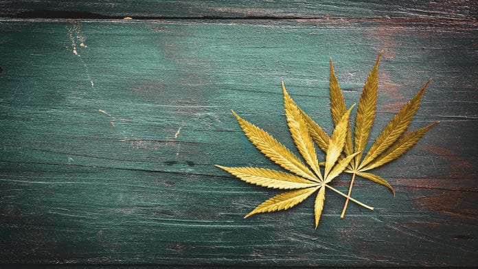 iStock-CasarsaGuru EXMceuticals appoints new Chief Executive for Portugal operations