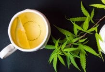 Water-soluble delivery system improves CBD bioavailability and strength