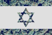 World’s first government supported medical cannabis incubator in Israel