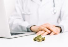 Roadmap for doctors: helping GP's become medical cannabis prescribers