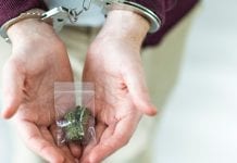 UK police boss demands crown prosecution protects cannabis patients