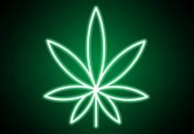 CanTera and OnixCann welcome new vice president CanTera and OnixCann welcome new vice president