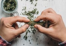 CMC calls on UK government to review medical cannabis policy