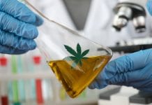 Leading UK oncologist to unlock medical cannabis market opportunities