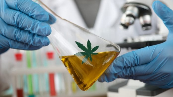 Leading UK oncologist to unlock medical cannabis market opportunities